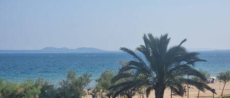 بالقرب من الشاطئ