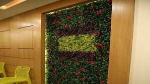 Een kamer met een verticale tuinwand, houten lambrisering en een gele stoel.