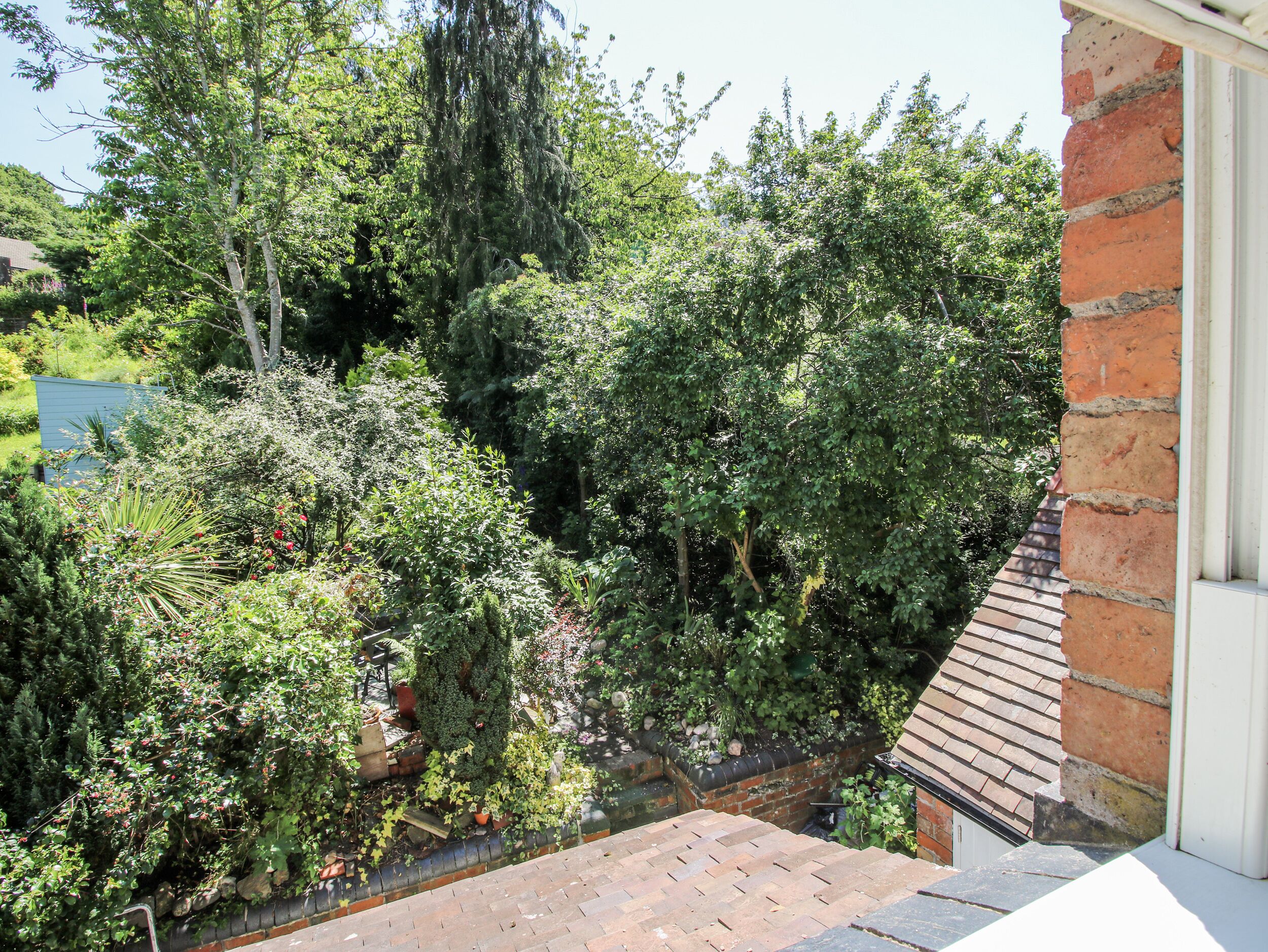 A garden with various plants and trees, a brick wall, and a wooden deck.