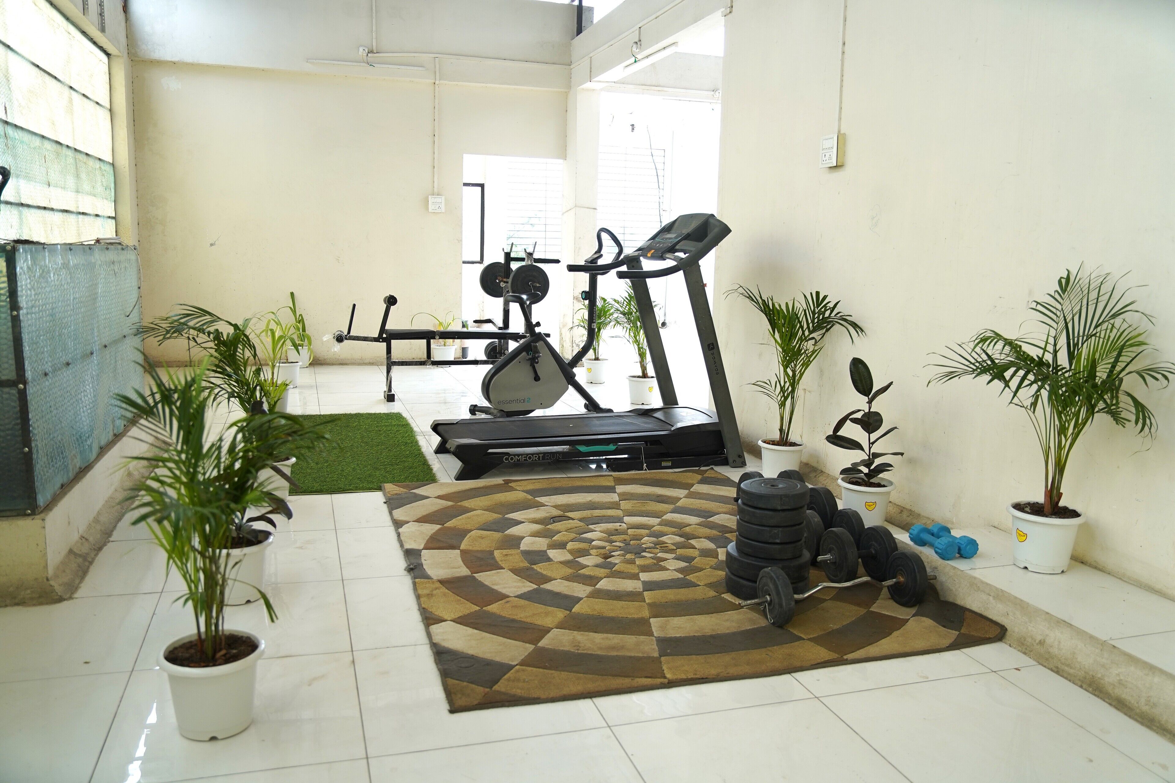 A gym with exercise equipment, a patterned rug, and potted plants.