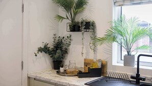 A kitchen with a marble countertop, a window with a view, and various plants.