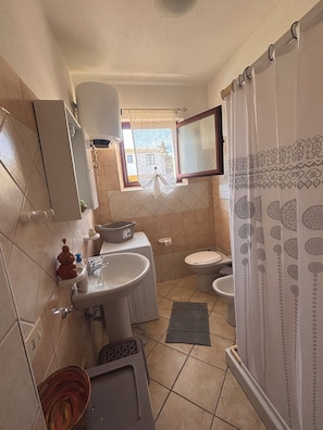 Shower, hair dryer, bidet, soap