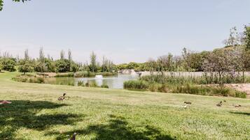 Terrein van de accommodatie