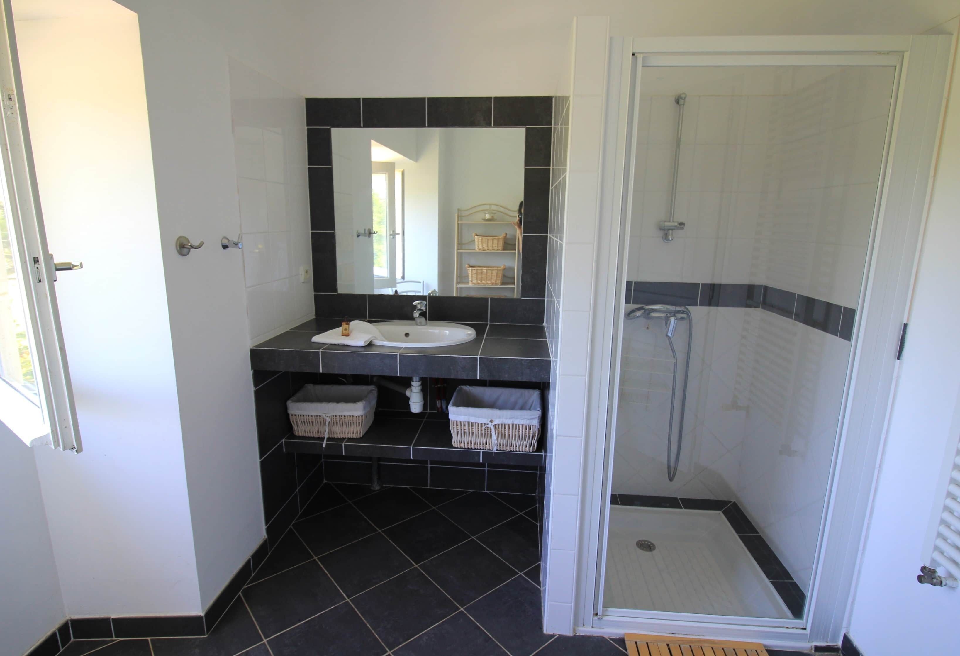 A bathroom with a white sink, black tiles, a mirror, and a glass-enclosed shower.