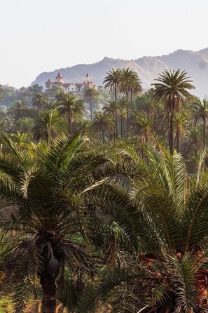 A lush landscape with palm trees and a distant building with multiple towers.