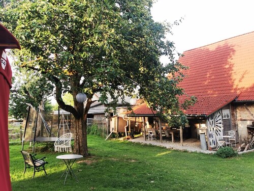 Cozy 28 m² yurt with stargazing view, barbecue area, and separate bathroom