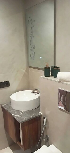 Sèche-cheveux, serviettes fournies, papier toilette