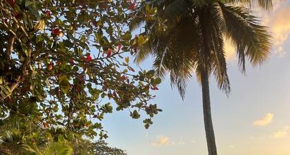 Amazing Caribbean 3 bed villa with private pool and stunning sea views