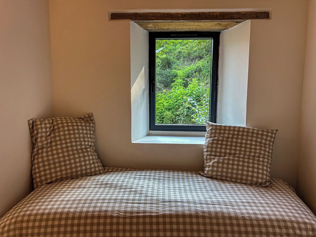 A bedroom with a checkered bedspread, two pillows, and a window with a view of greenery.