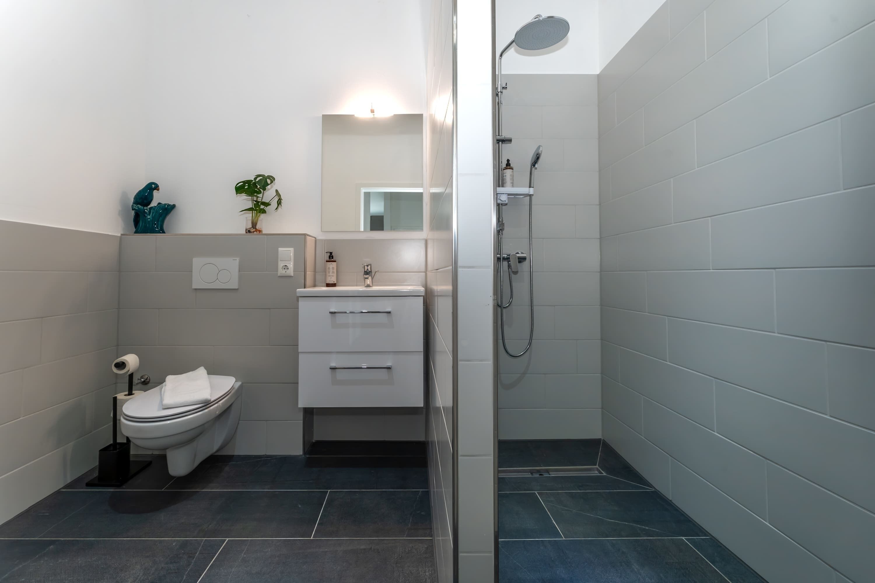 Dusche, Haartrockner, Handtücher, Shampoo