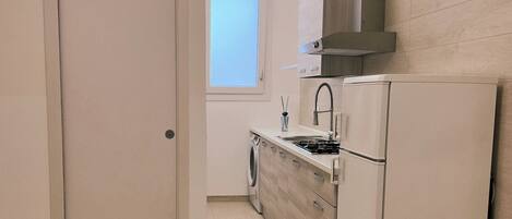Fridge, microwave, stovetop, electric kettle