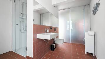 Shower, hair dryer, towels, shampoo