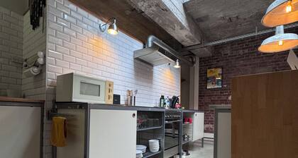 Loft spacieux, parking privé, cour et terrasse. Animaux de compagnie acceptés !