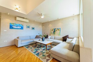 Smart TV, chimenea, libros, videoteca