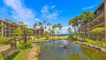 Apartamento, 1 habitación | Jardines del alojamiento