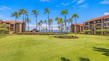 Condo, 1 Bedroom | Golf