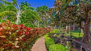 A pathway flanked by lush tropical plants and a small water feature, leading to a building with balconies. - Kaanapali Shores 432 Studio Condo Condo (lahaina)