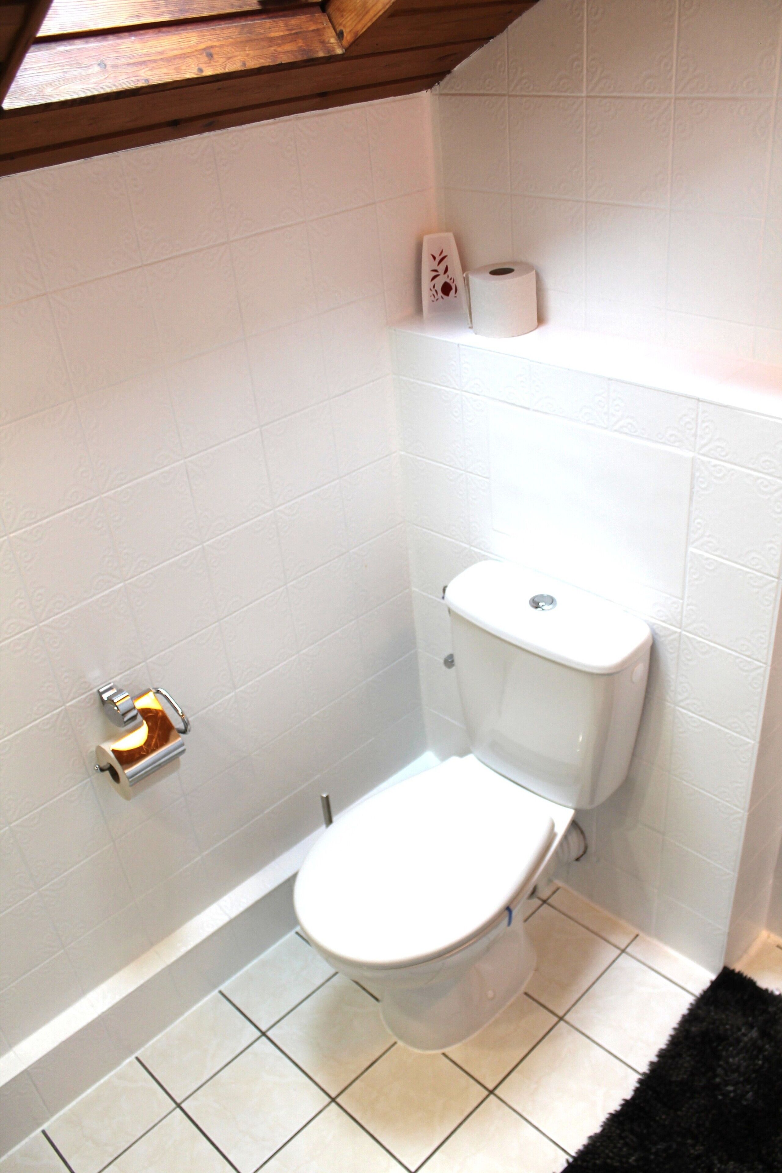 Un bagno con un water, un rotolo di carta igienica e un tappeto nero sul pavimento.