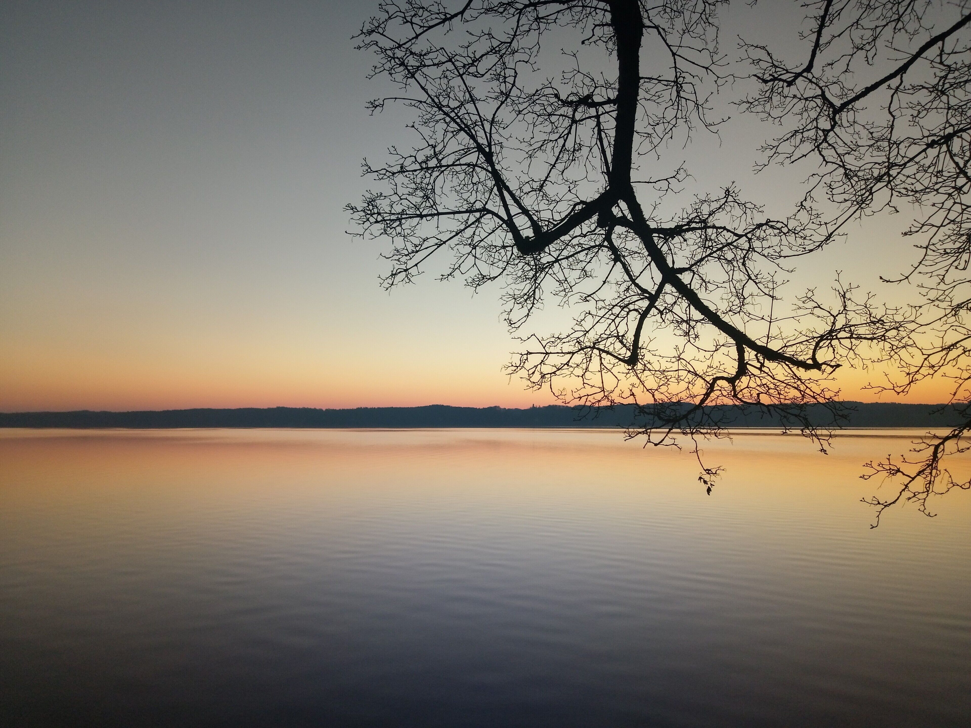 En rolig sø ved solnedgang med nøgne trægrene silhouetteret mod himlen.