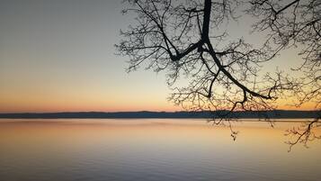 En rolig sø ved solnedgang med nøgne trægrene silhouetteret mod himlen.
