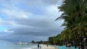 Una spiaggia con una fila di sdraio blu, una riva sabbiosa e palme.