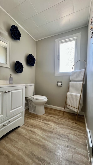 Hair dryer, towels, soap, toilet paper