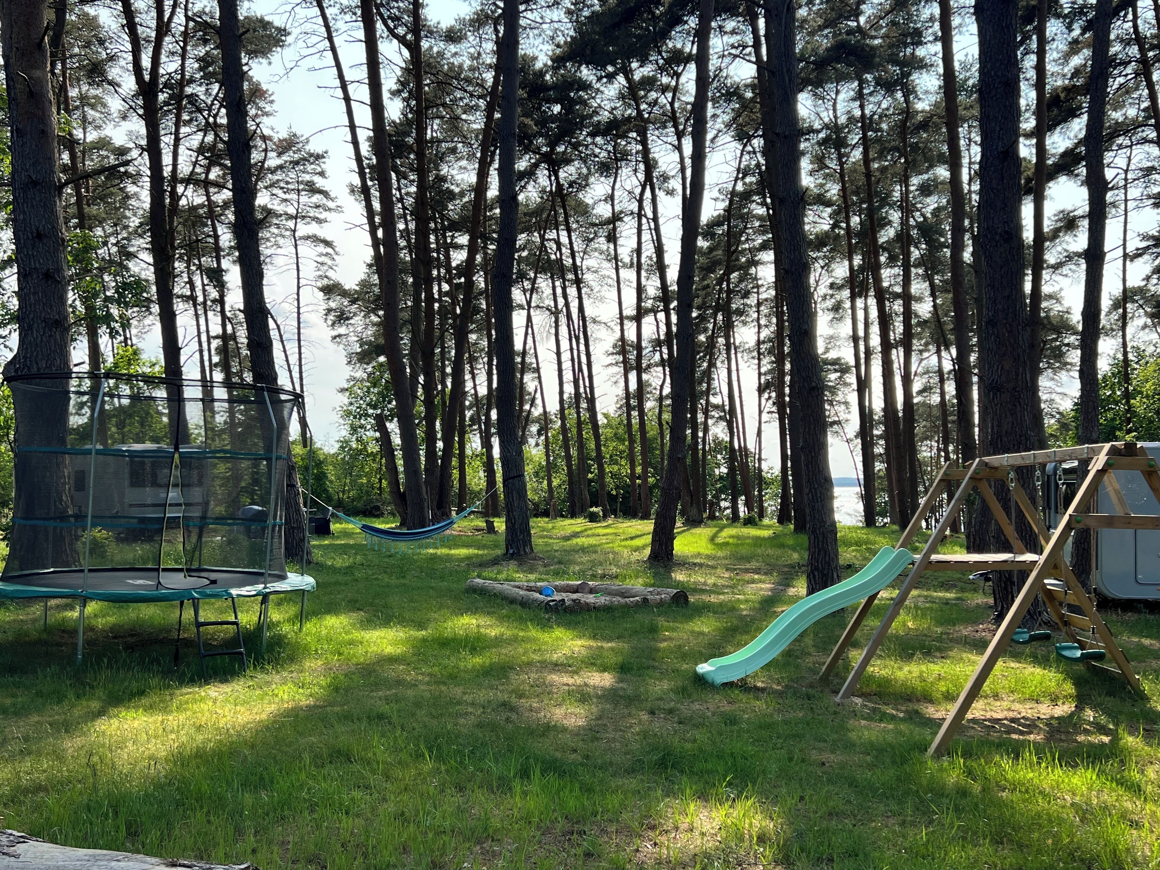 Une aire de jeux avec un toboggan et des balançoires, située dans un espace boisé.