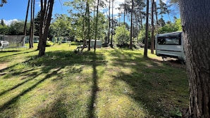 Un camping con vehículos recreativos, árboles y zonas de césped.