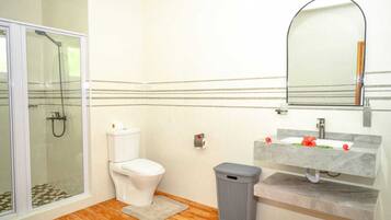 Shower, hair dryer, towels, toilet paper