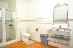 Shower, hair dryer, towels, toilet paper