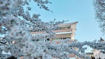 A multi-story building with a modern architectural design, surrounded by cherry blossom trees.