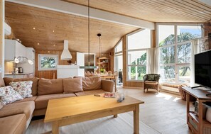 Fernseher, Kamin