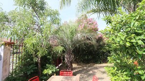 A wooden table with red chairs in a garden area with various plants and a palm tree. - House with character, spacious rooms, wooded garden, quiet, free parking (Argelès-sur-Mer)