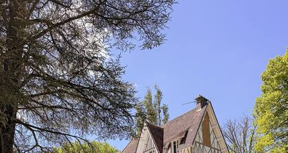 Manoir des 3 cèdres - 35 minutes paris - Swimming pool - SPA - Tennis - 23 people