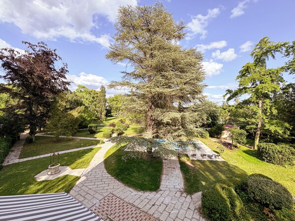 A well-maintained garden with a variety of trees and a paved walkway.