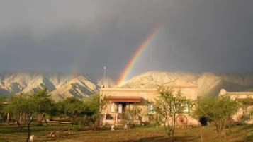Ngoại thất