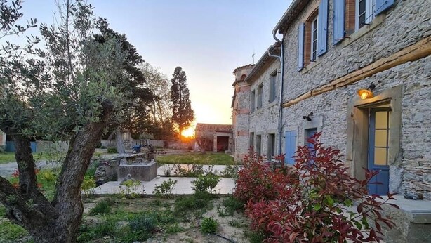 A courtyard with a stone building, olive trees, and a red-leafed shrub.