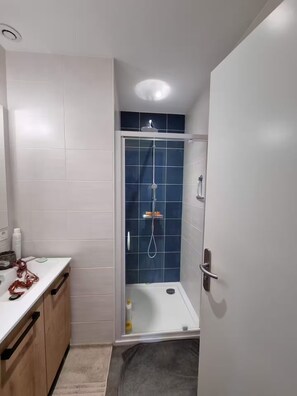 Shower, hair dryer, towels