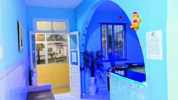A reception area with a blue wall, a large window, a potted plant, and a plush toy decoration. - DC Hostel (Florianópolis)
