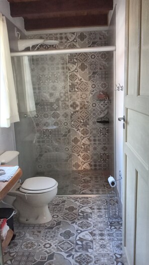 Shower, towels, soap, toilet paper