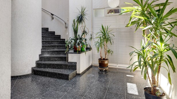 A staircase with a handrail, potted plants, and a radiator.