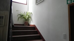 A staircase with a potted plant on the landing. - Hotel San Remo (Pinamar)