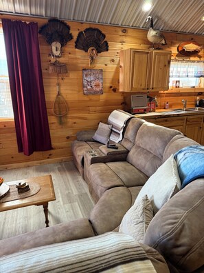 Smart-TV, Stereoanlage