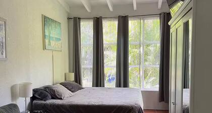 Charming 1-bedroom cottage with WiFi and AC in wonderful Miami