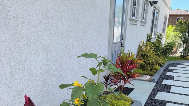 Un sentier de jardin avec des pas japonais, diverses plantes et un bâtiment doté de fenêtres.