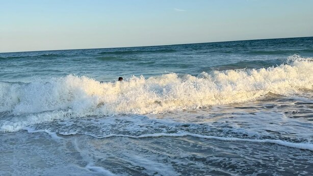 A beach with waves crashing onto the shore. - Amazing ocean views, Sleeps 8, Beach access, Pets OK (Surf City)