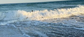 Fall Escape – Surfside Beach Haven Monthly Snowbird Specials, please inquire