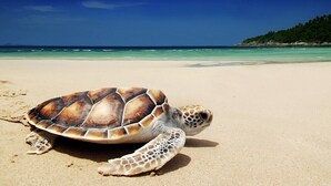 Spiaggia