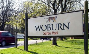 المنطقة المحيطة بالمنشأة