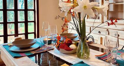 Casa Cosecha: Gorgeous brick house with a garden in serene neighborhood